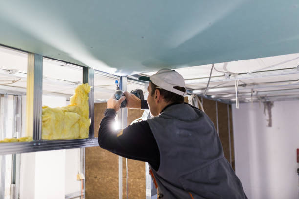 Best Garage Insulation Installation  in Poplar Bluff, MO