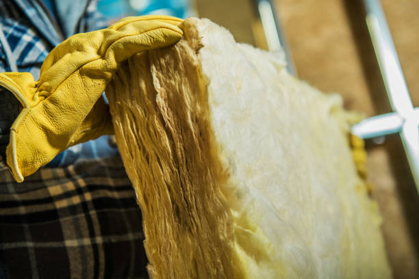Best Insulation Replacement Services  in Poplar Bluff, MO