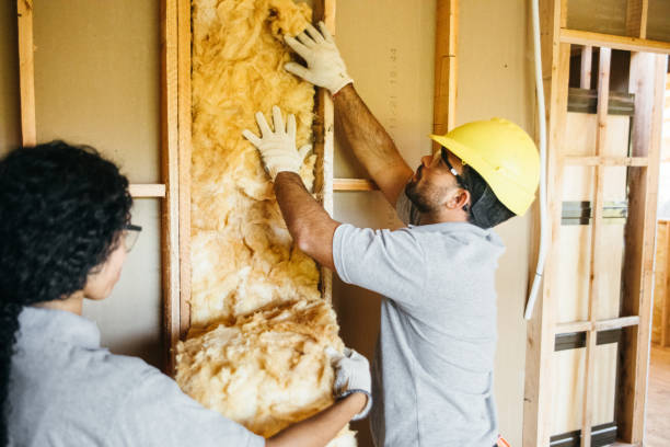 Best Insulation Removal  in Poplar Bluff, MO